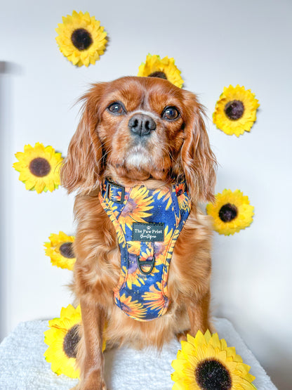 The Sunflower Field Harness (Adventure Paws Style)