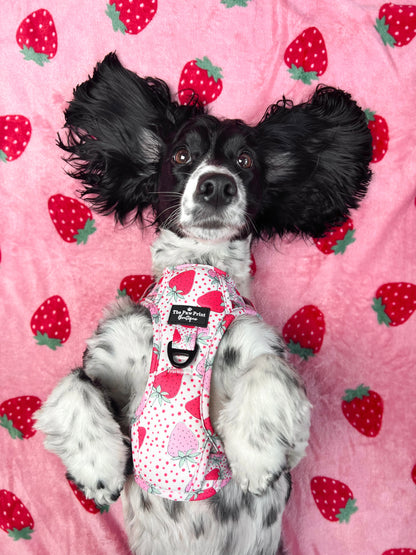 The Sweet Strawberries Harness  (Adventure Paws Style)