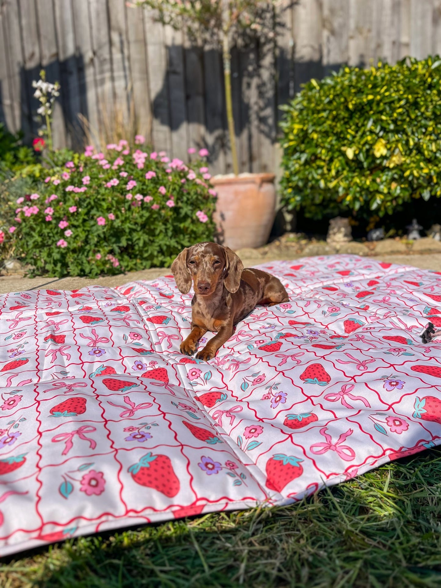Bows & Berries Picnic Mat