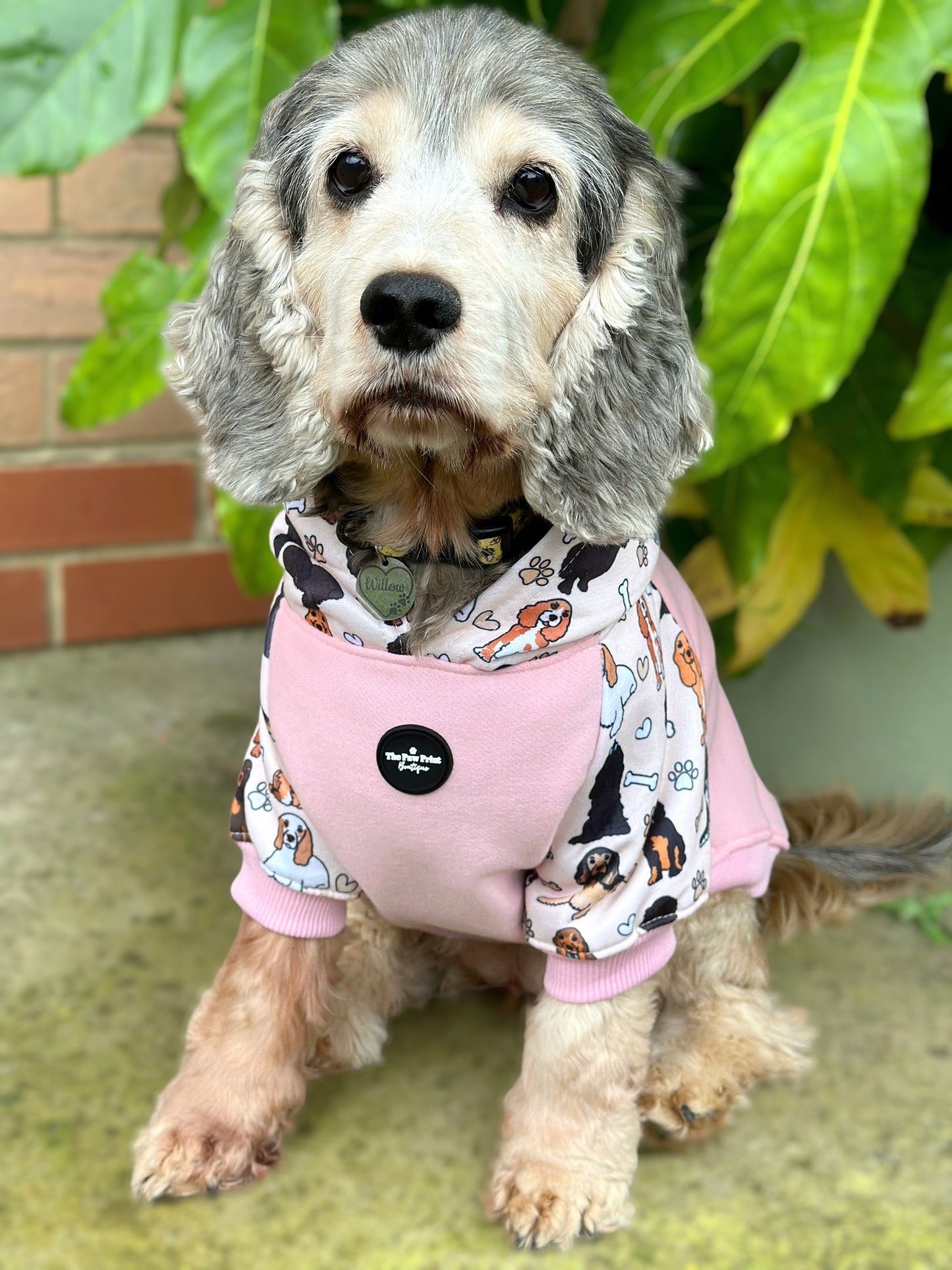The Spaniel Dog Hoodie - Baby Pink