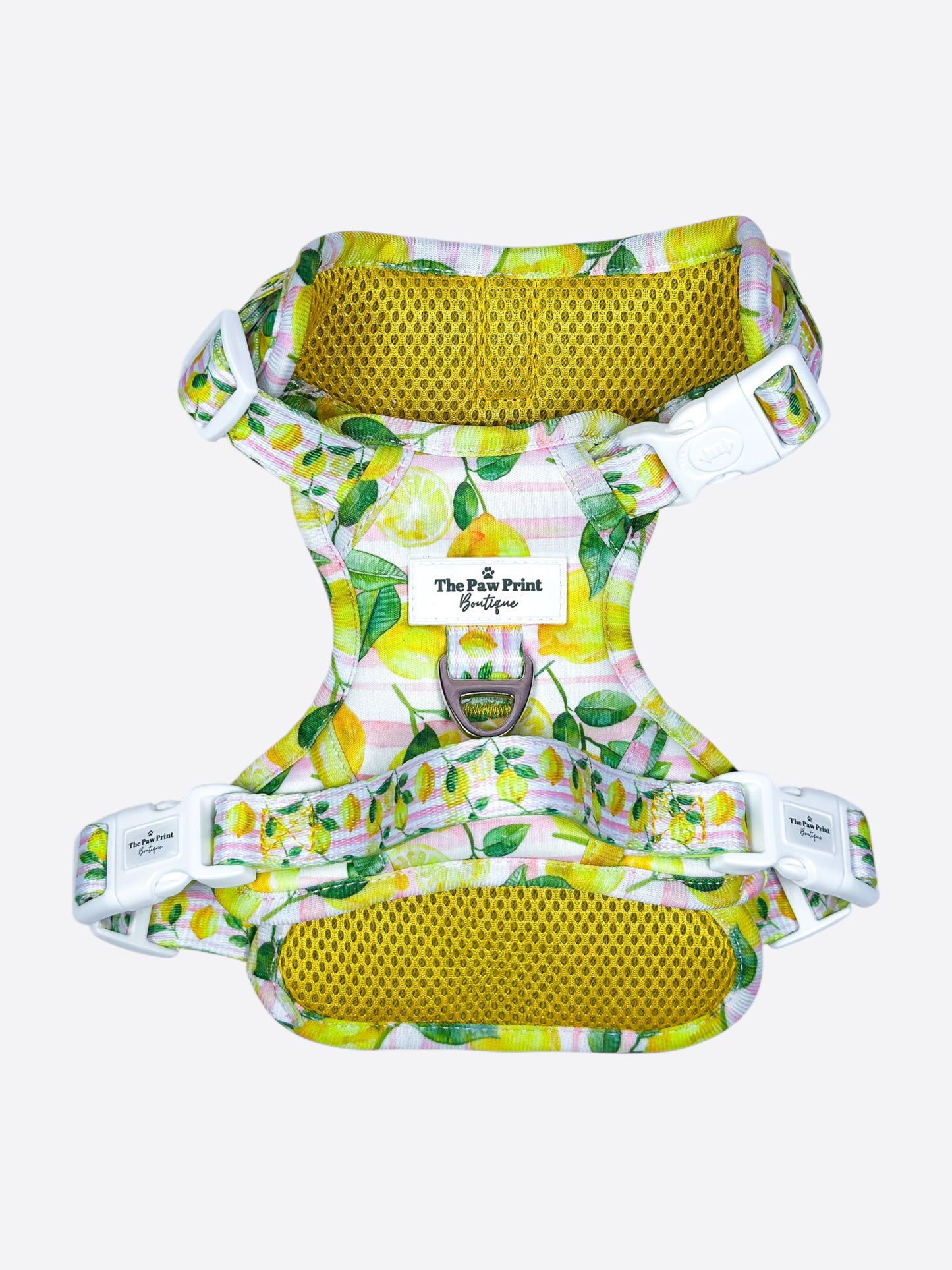 La Dolce Vita Adventure Paws Harness