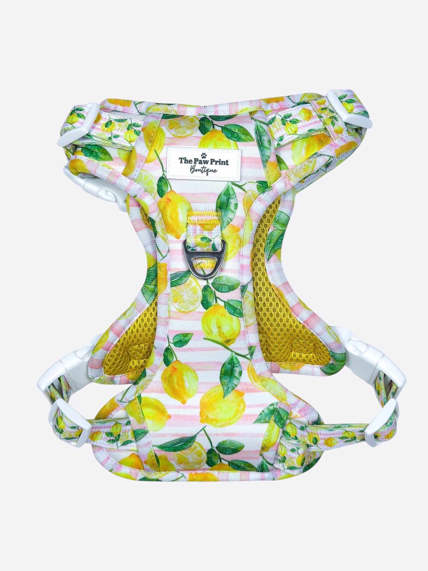 La Dolce Vita Adventure Paws Harness