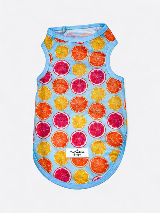 Squeeze the Day Cooling Vest