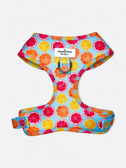 Squeeze the Day Adjustable Harness