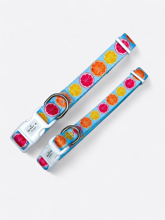 Squeeze the Day Collar