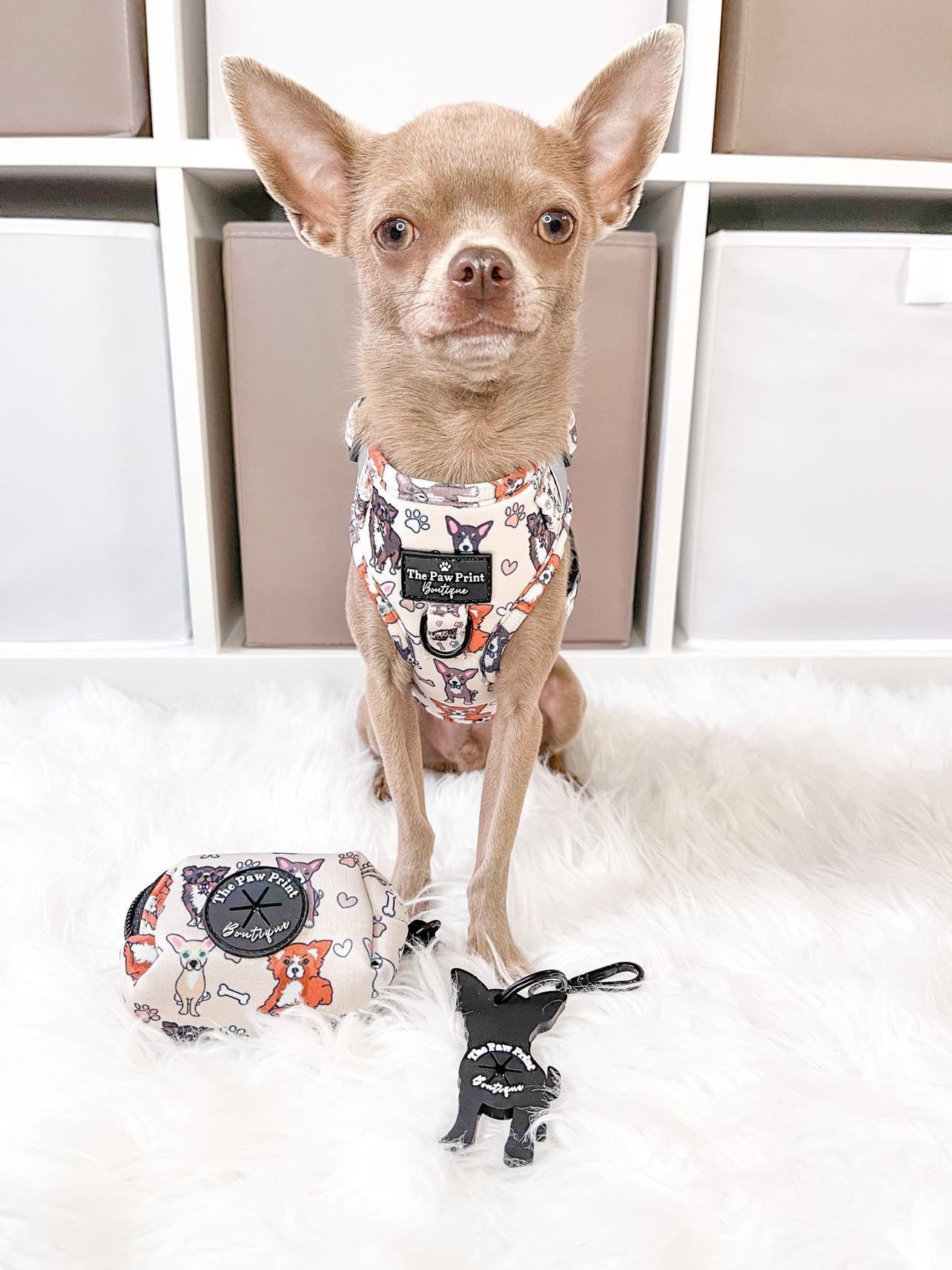 The Chihuahua Adjustable Harness