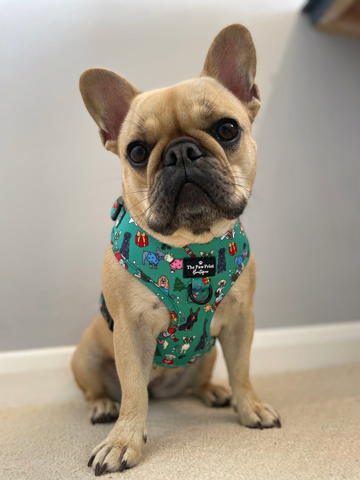 The Santa Paws Adjustable Harness