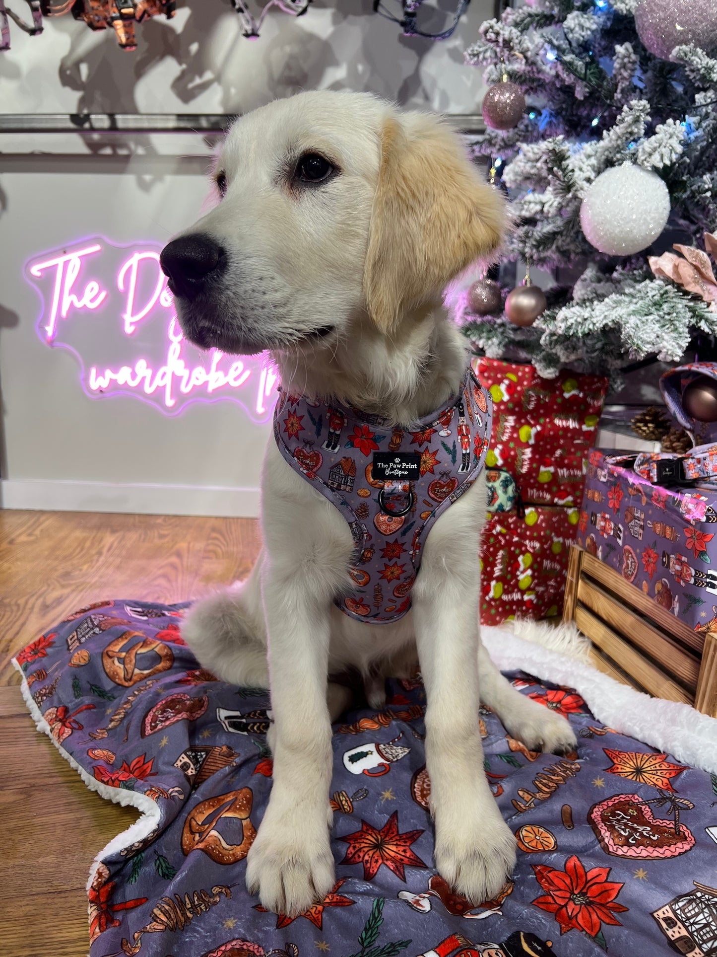 The Christmas Market Adjustable Harness