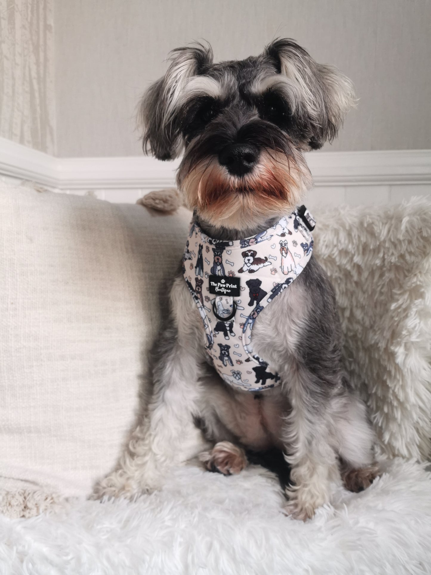 The Schnauzer Adjustable Harness
