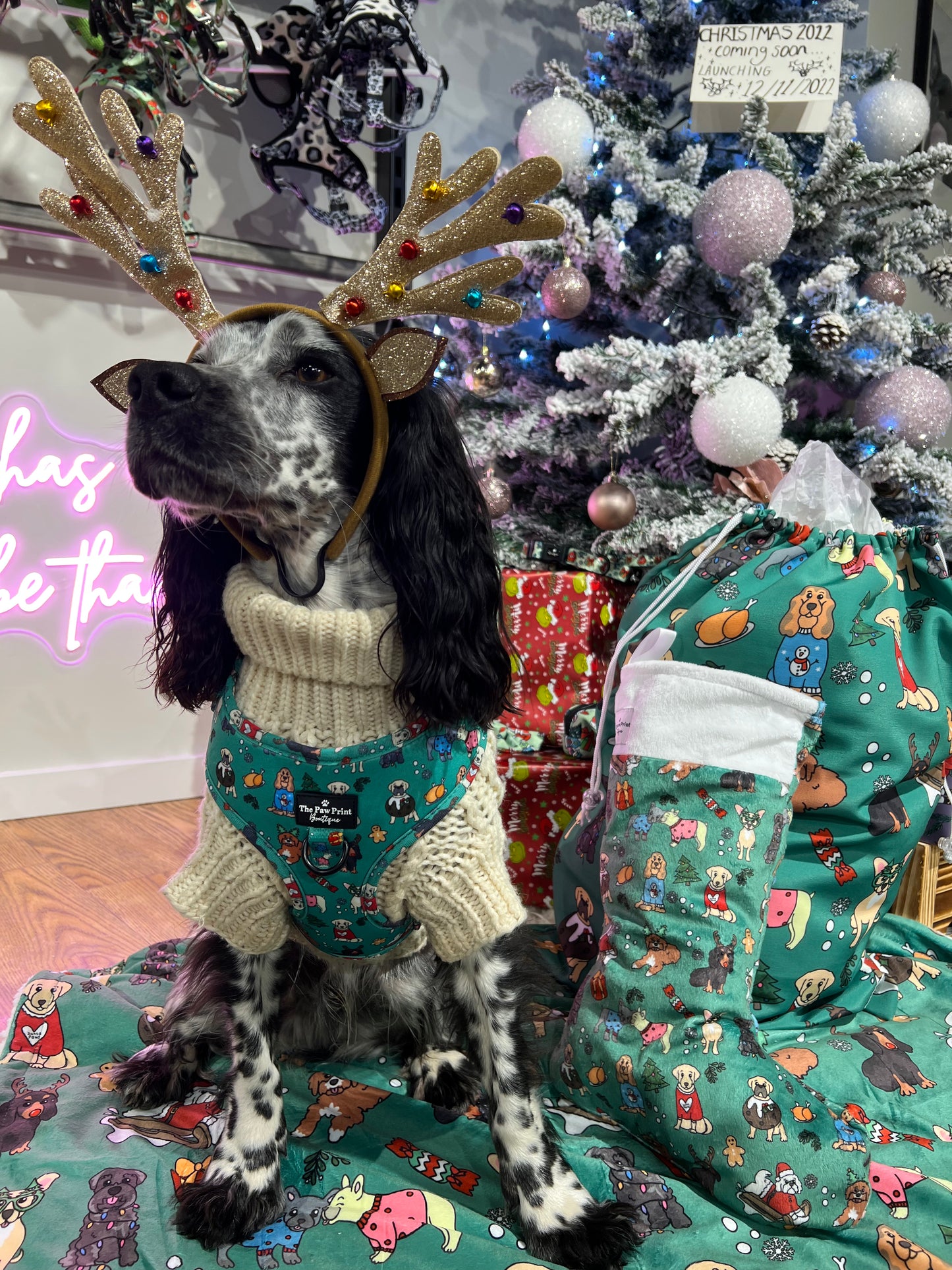 The Santa Paws Adjustable Harness