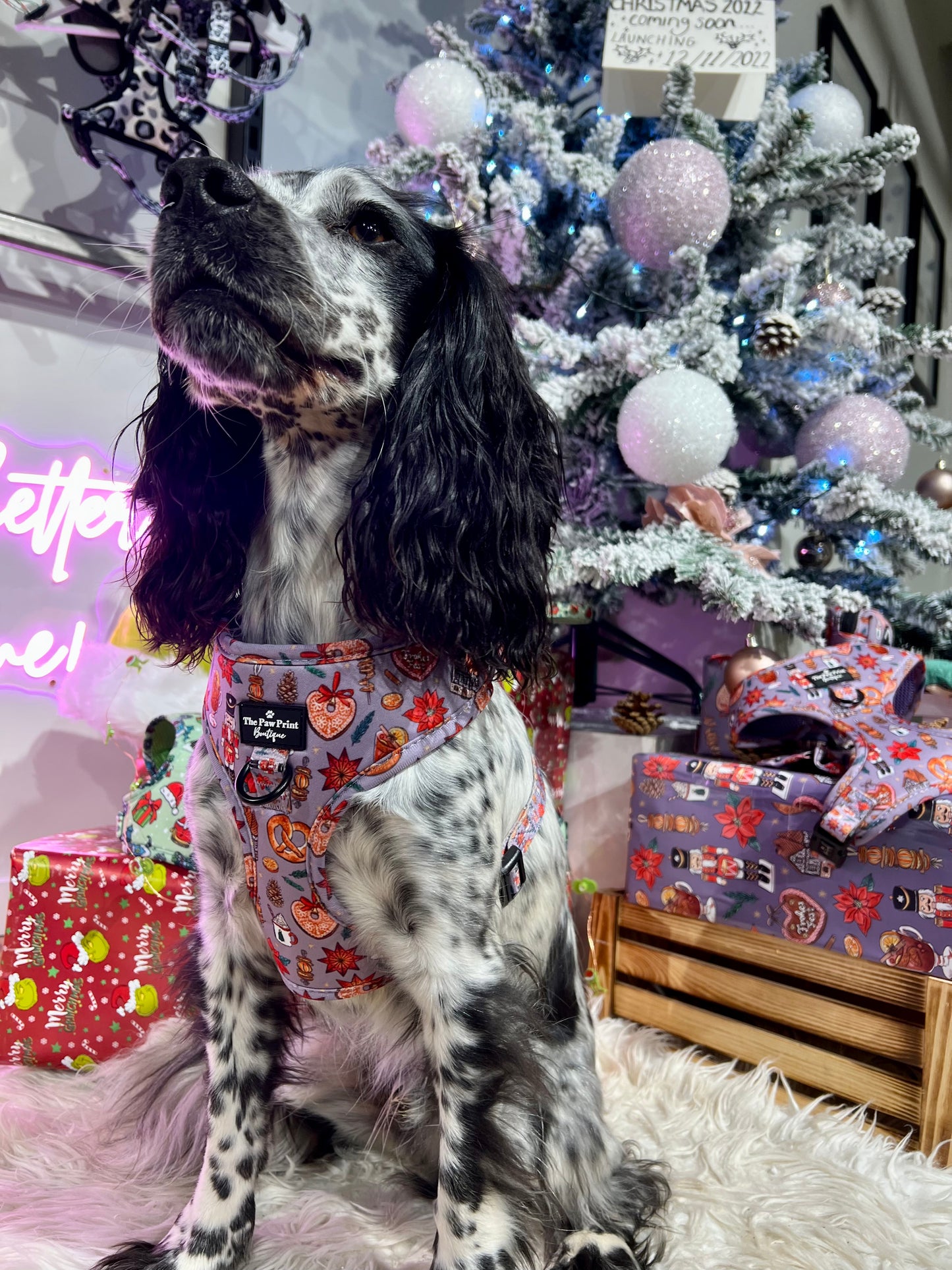 The Christmas Market Adjustable Harness