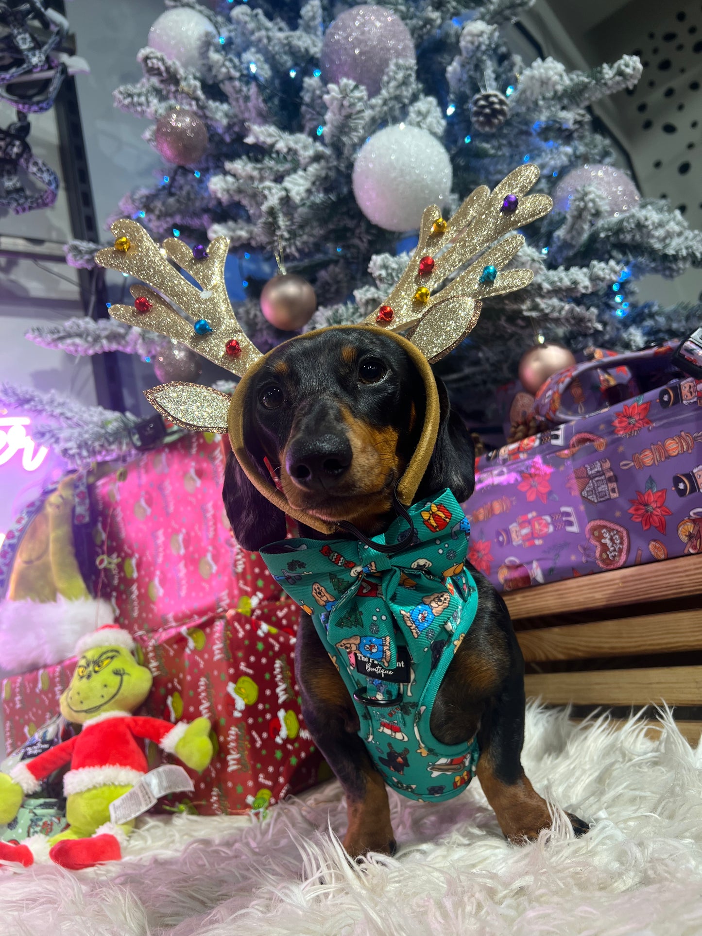 The Santa Paws Adjustable Harness