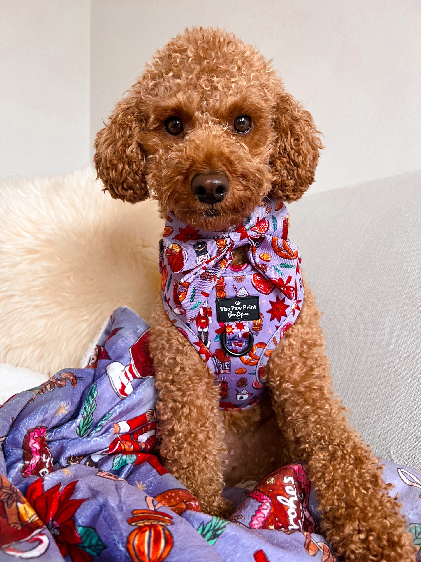 The Christmas Market Adjustable Harness