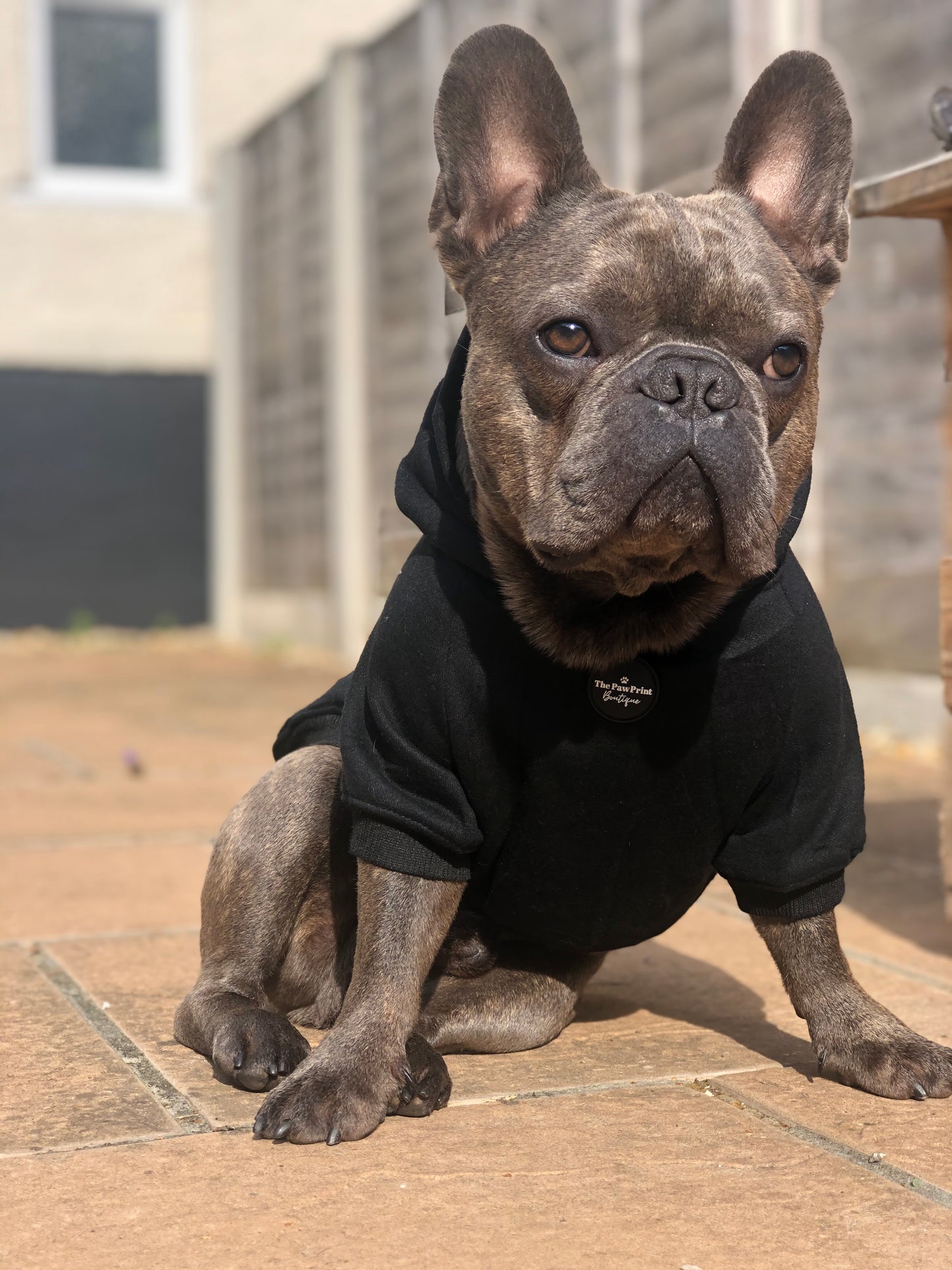 Dog Hoodie - Black