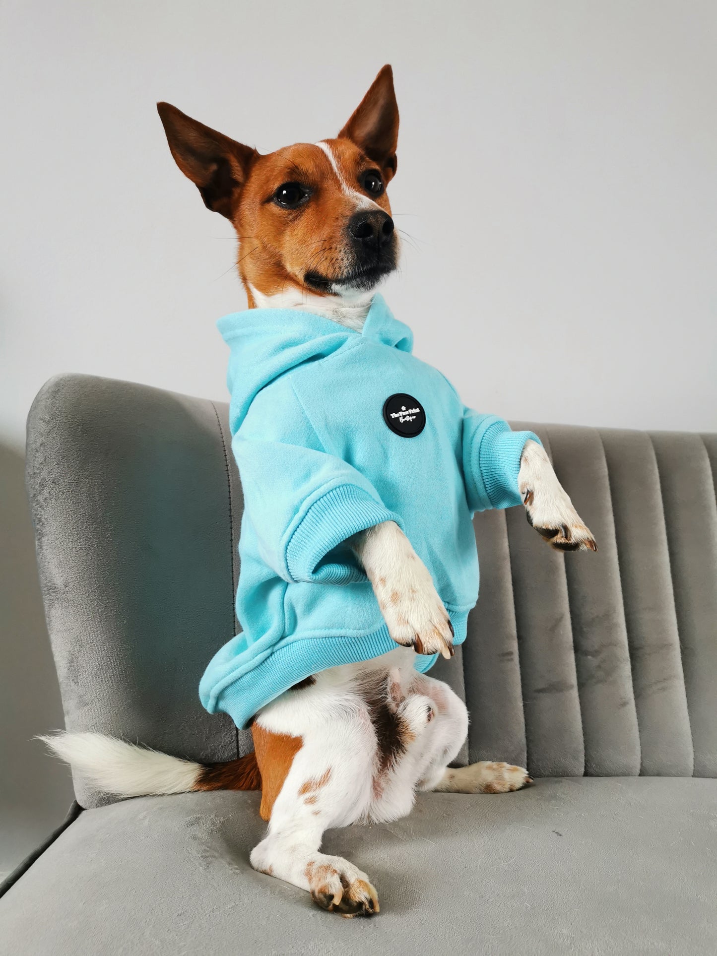 Dog Hoodie - Aqua Blue