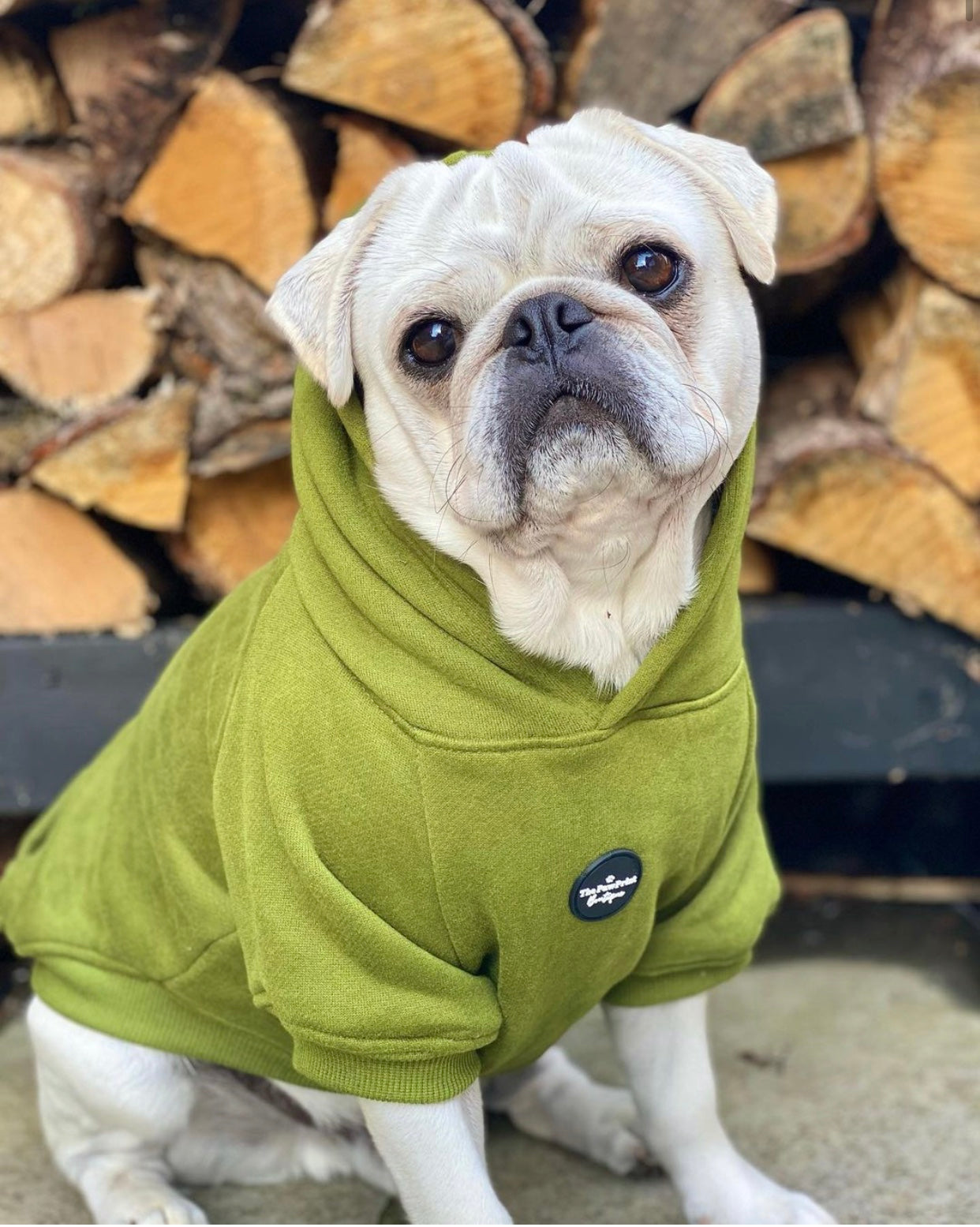 Dog Hoodie - Olive