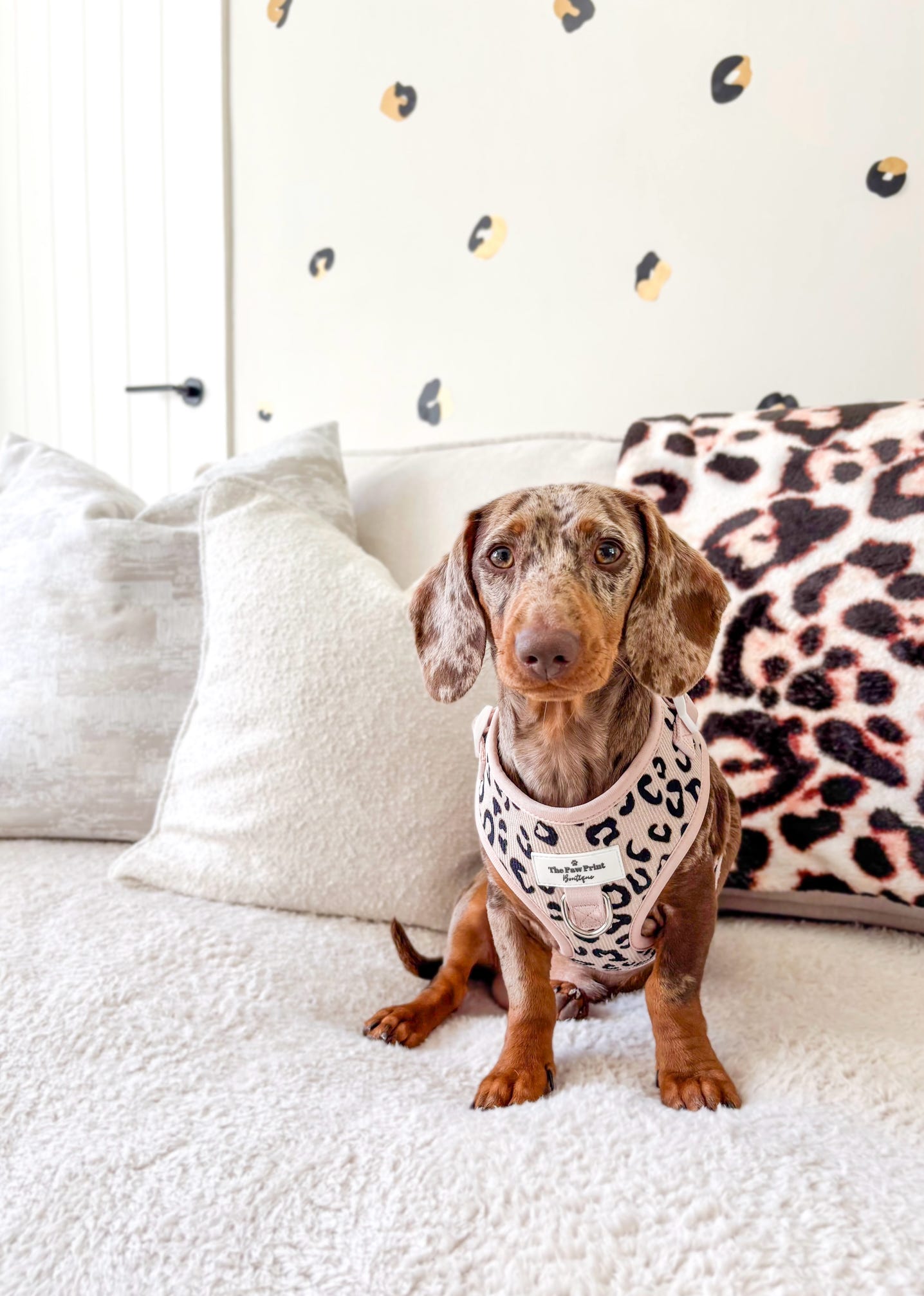 The Luxe Leopard (Beige) Collection