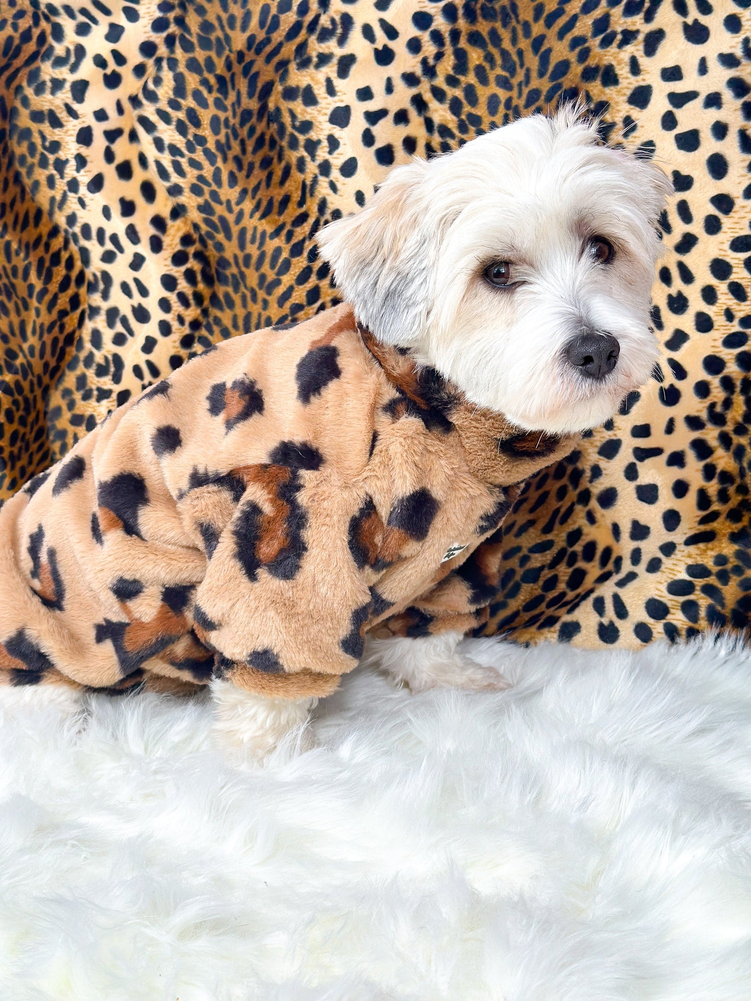 The Fluffy & Fabulous Fleeces