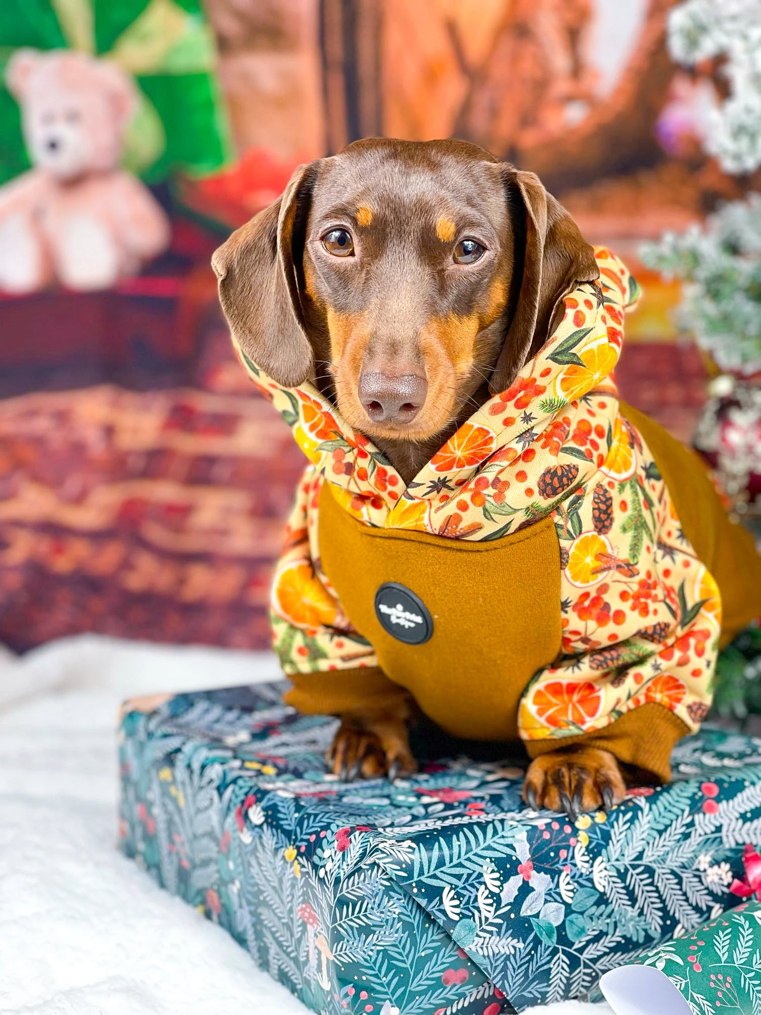 Winter Dog Hoodies