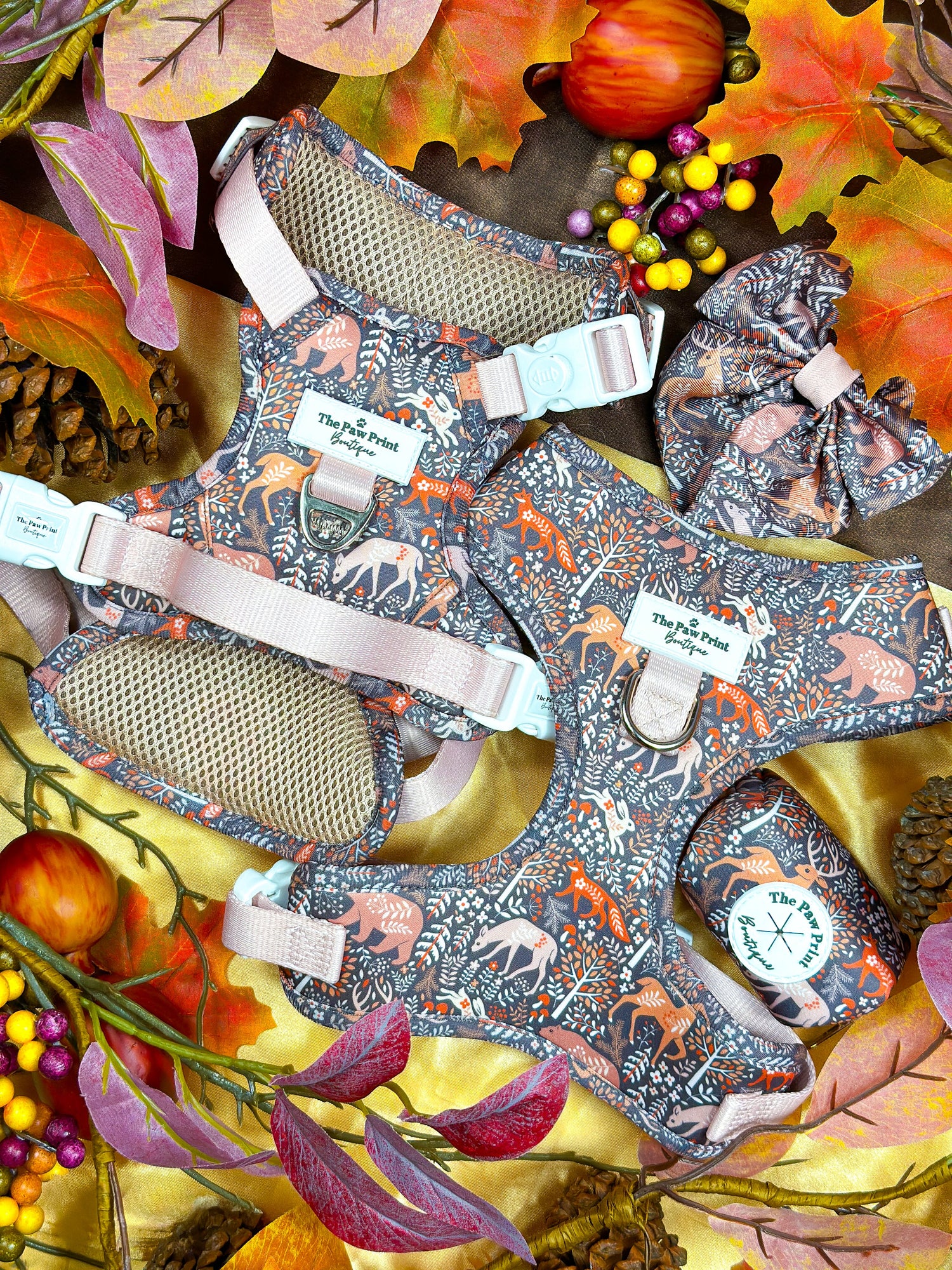 The Woodland Wilderness Collection