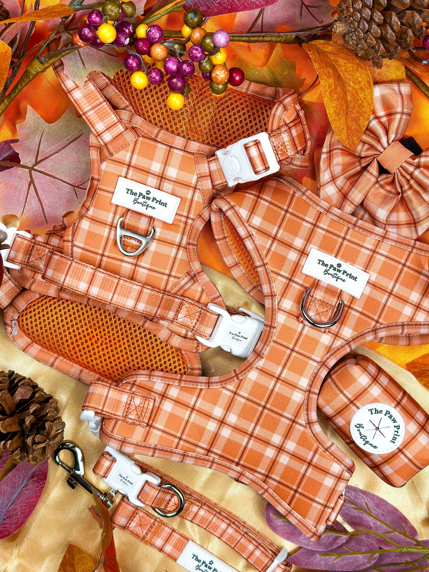 The Pooches in Plaid Collection