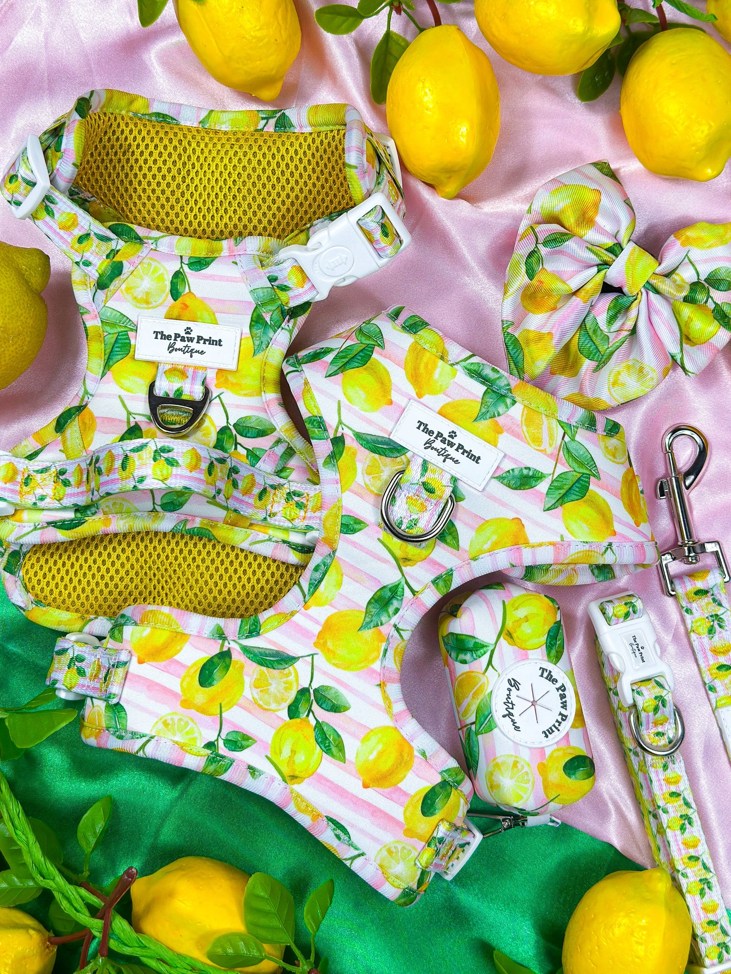 La Dolce Vita Collection 🍋
