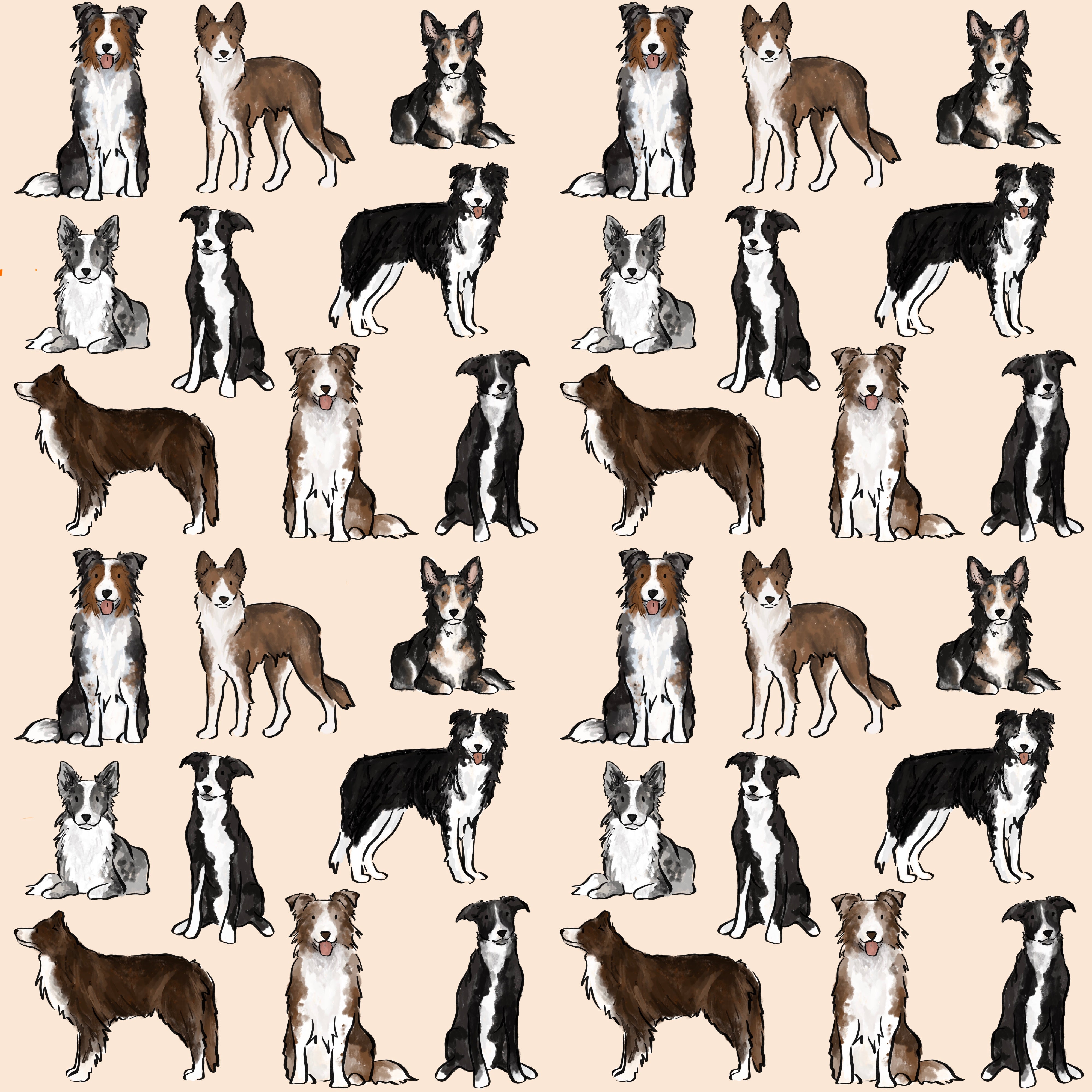 The Border Collie Collection – The Paw Print Boutique
