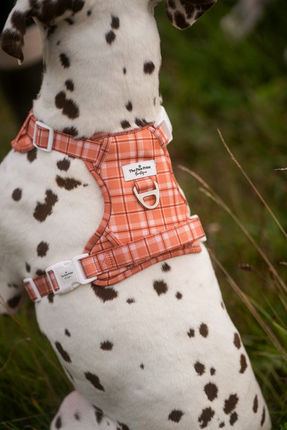 Pooches in Plaid Adventure Paws Harness
