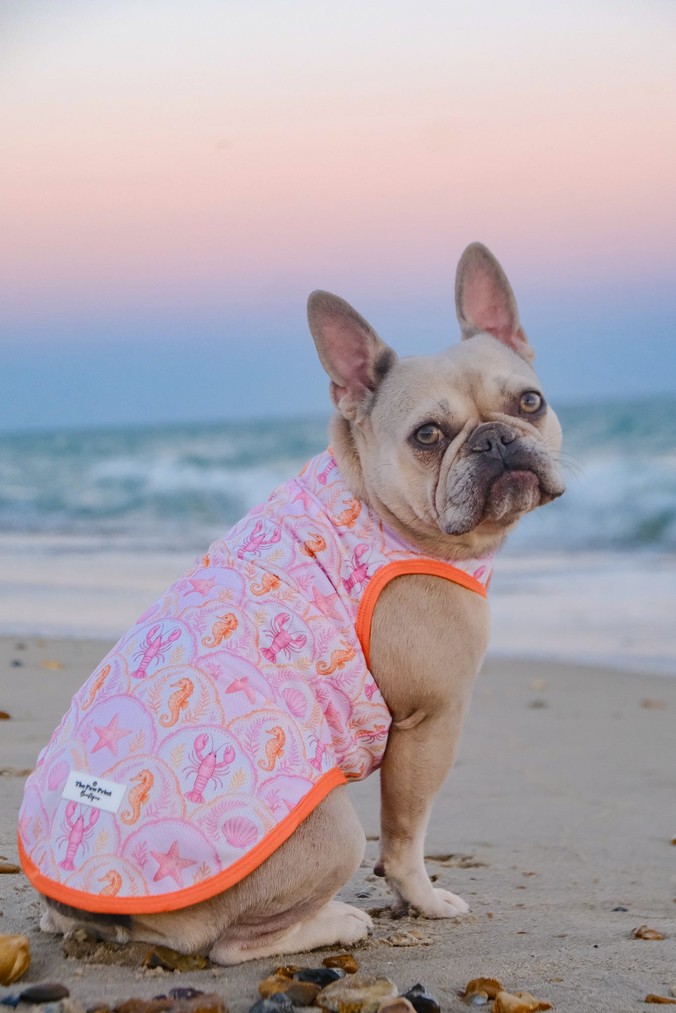Under the Sea Cooling Vest