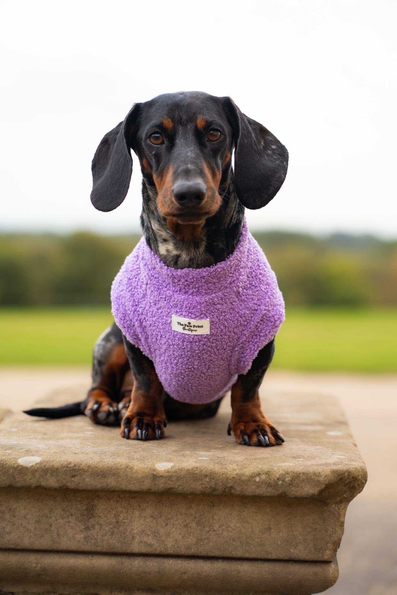 Teddy Fleece - Lavender