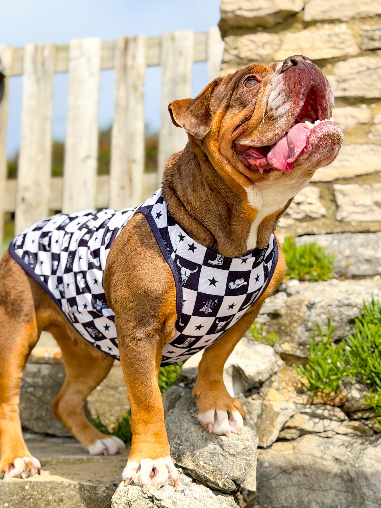 The Wild West Cooling Vest