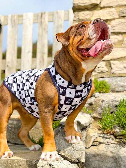 The Wild West Cooling Vest