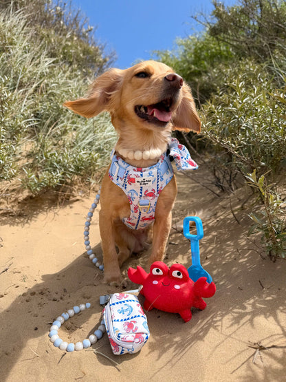 Absolutely Crabulous Adventure Paws Harness