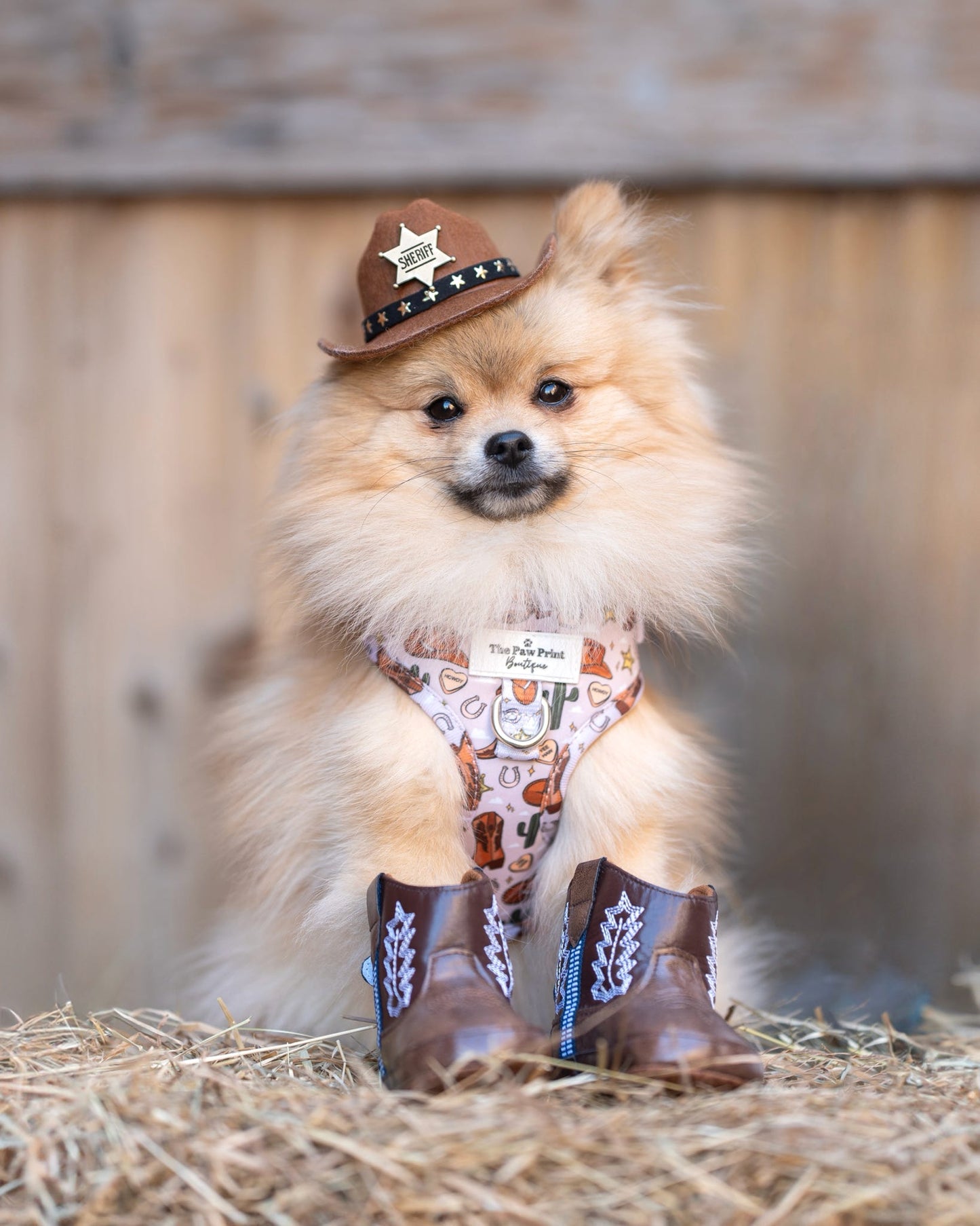 The Howdy Pawtner Adjustable Harness