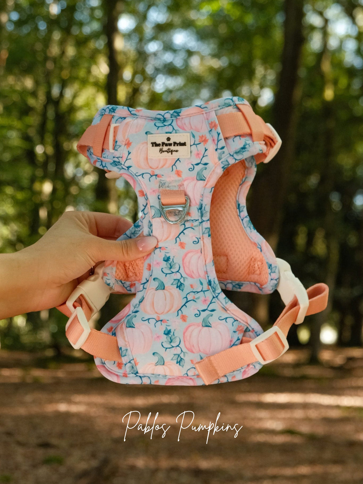 Pablos Pumpkins Adventure Paws Harness
