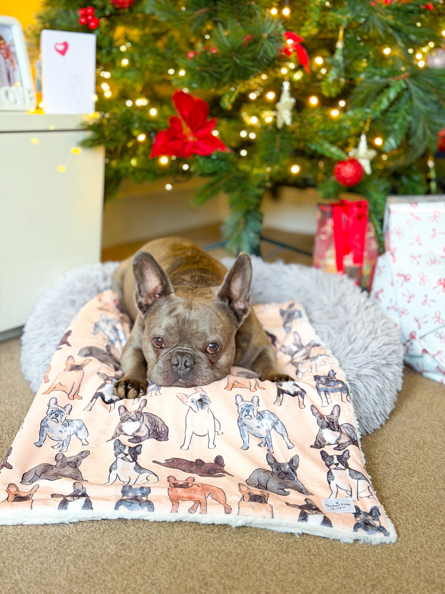 The French Bulldog Dog Blanket