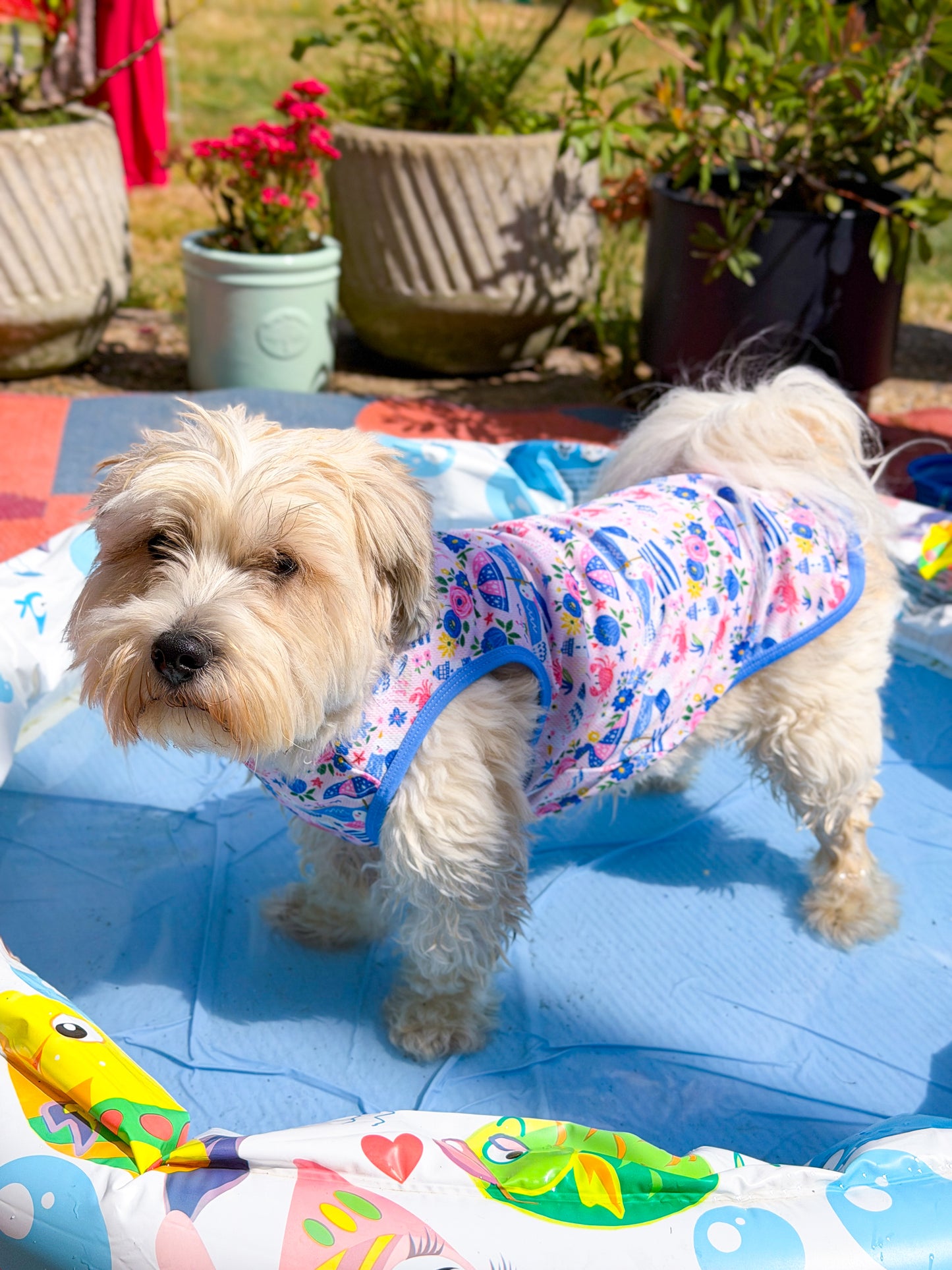 Santorini Seagulls Cooling Vest
