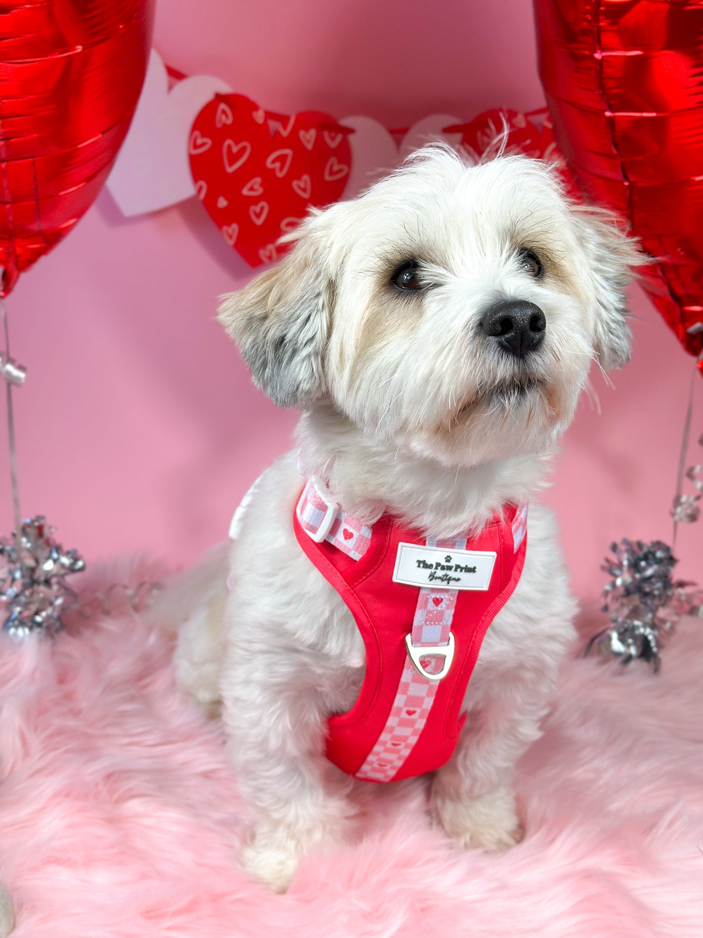 The Fur-ever Love Adventure Paws Harness