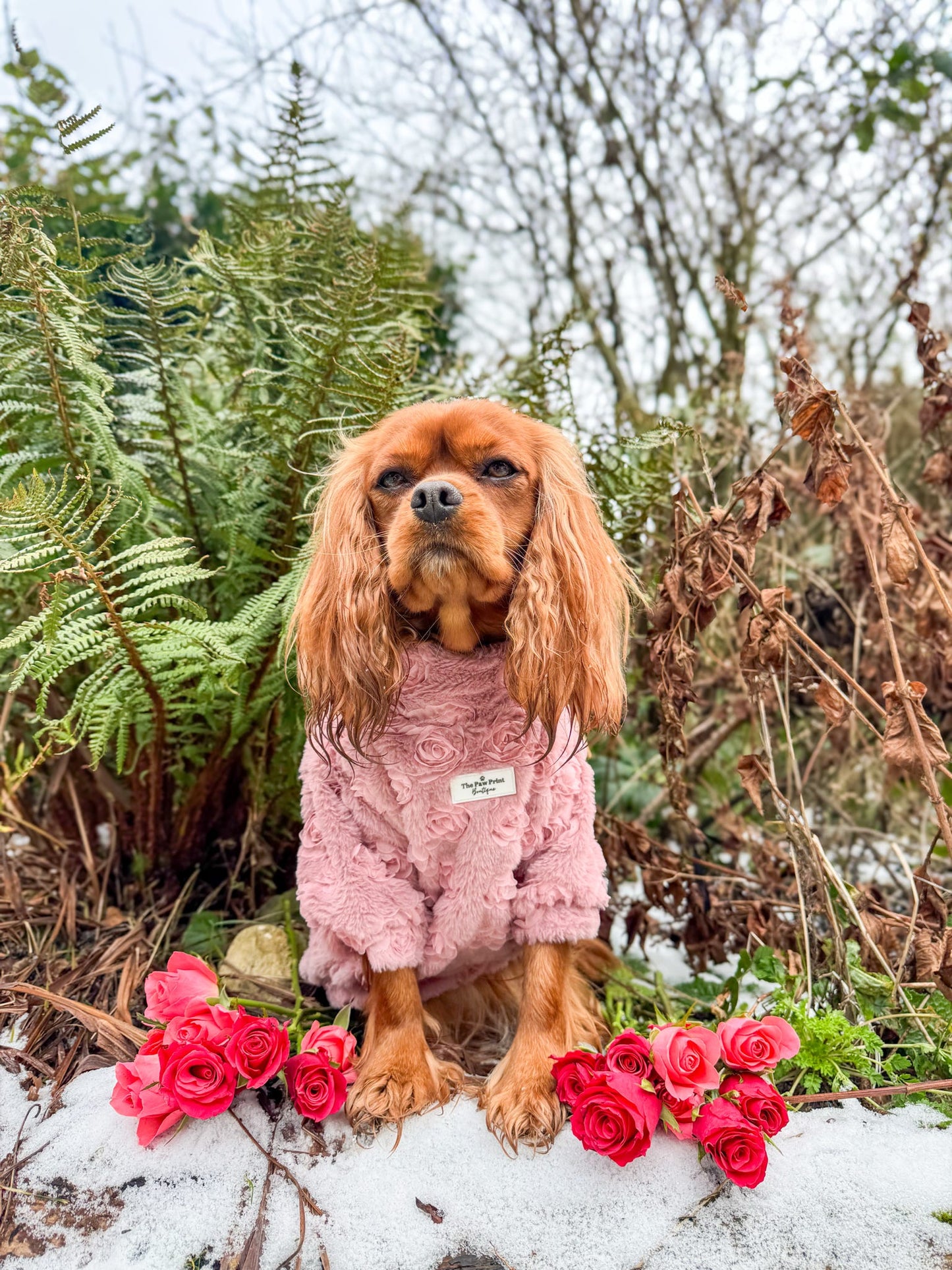 The Roses Fleece - Pink