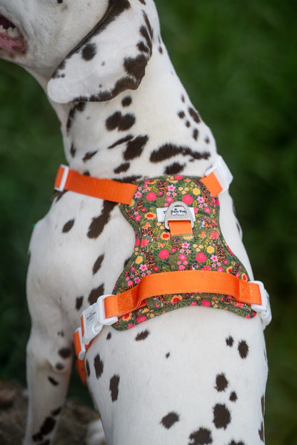 The Tiger who came to TPPB Adventure Paws Harness