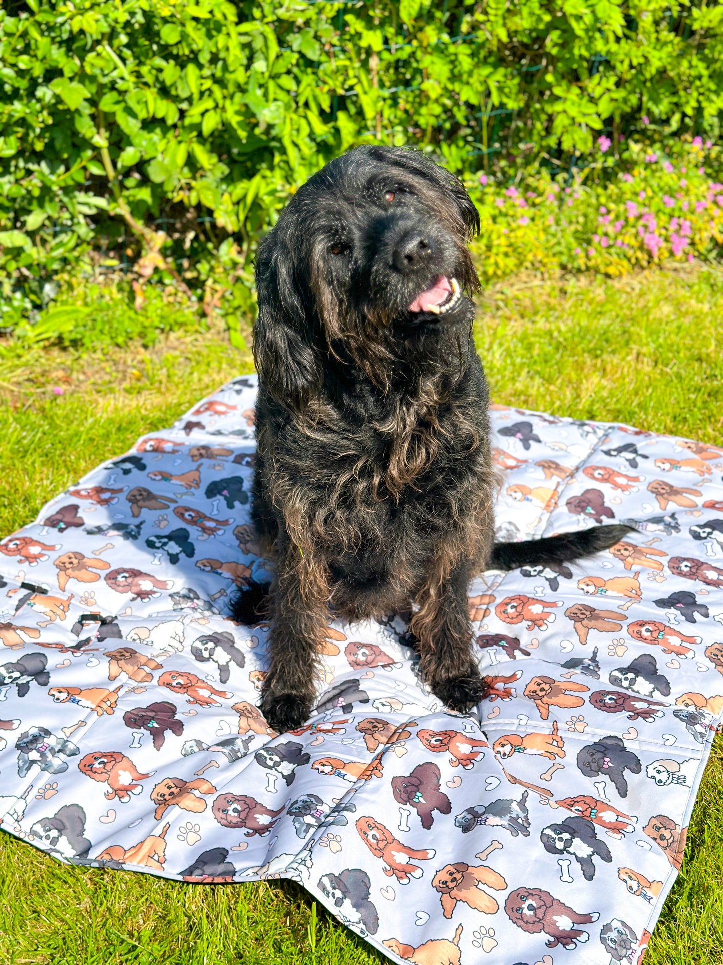The Poodle/Doodle Picnic Mat