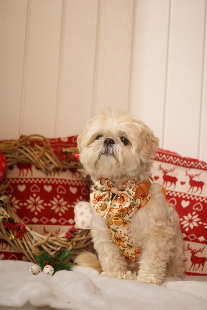 Gingerbread Grove Adventure Paws Harness