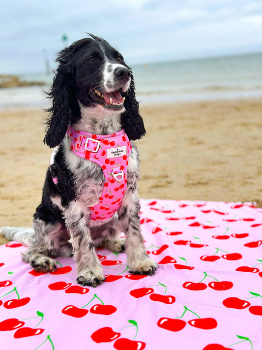 Cherry on Top Beach Towel