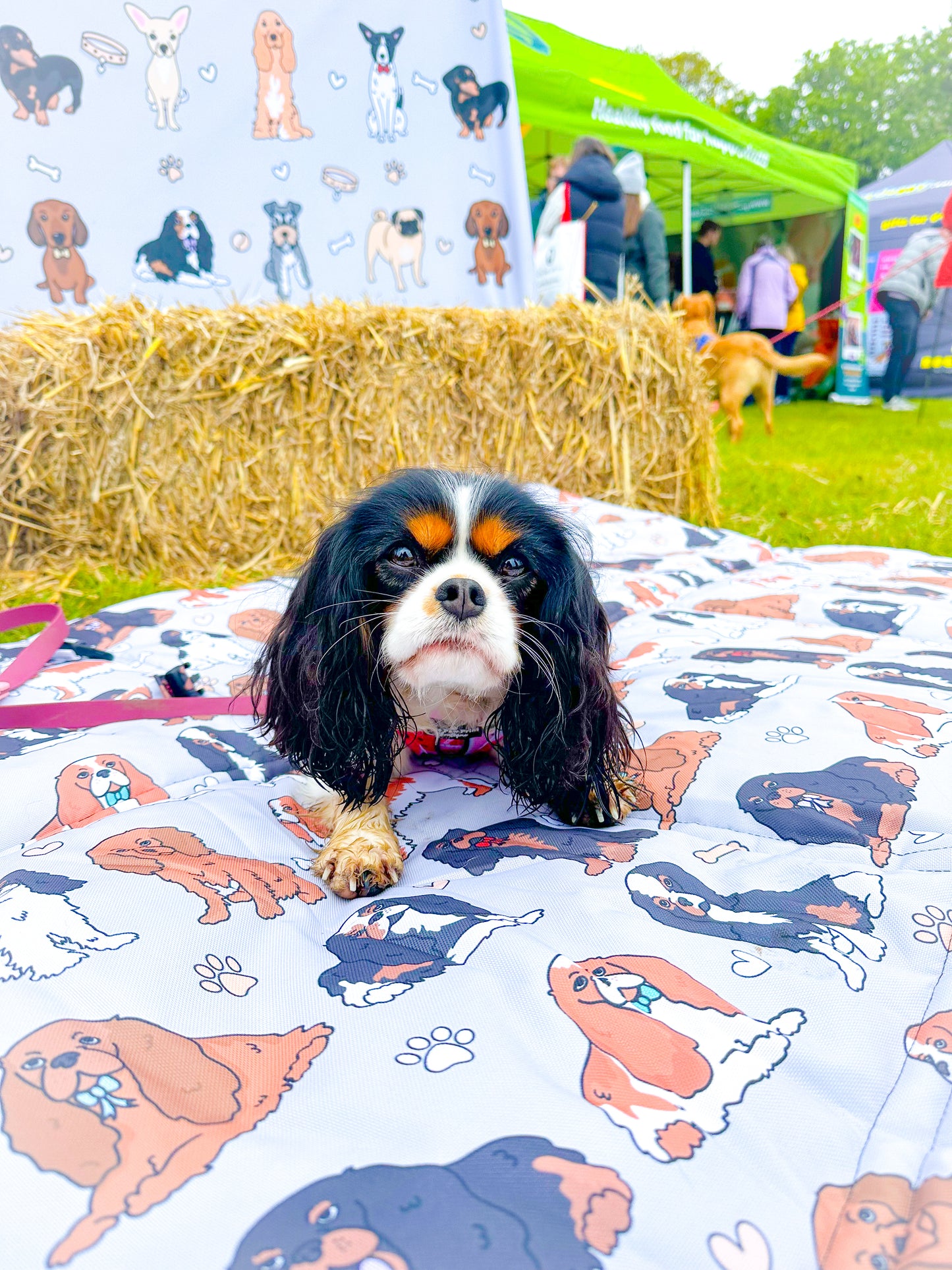 The Cavalier Picnic Mat