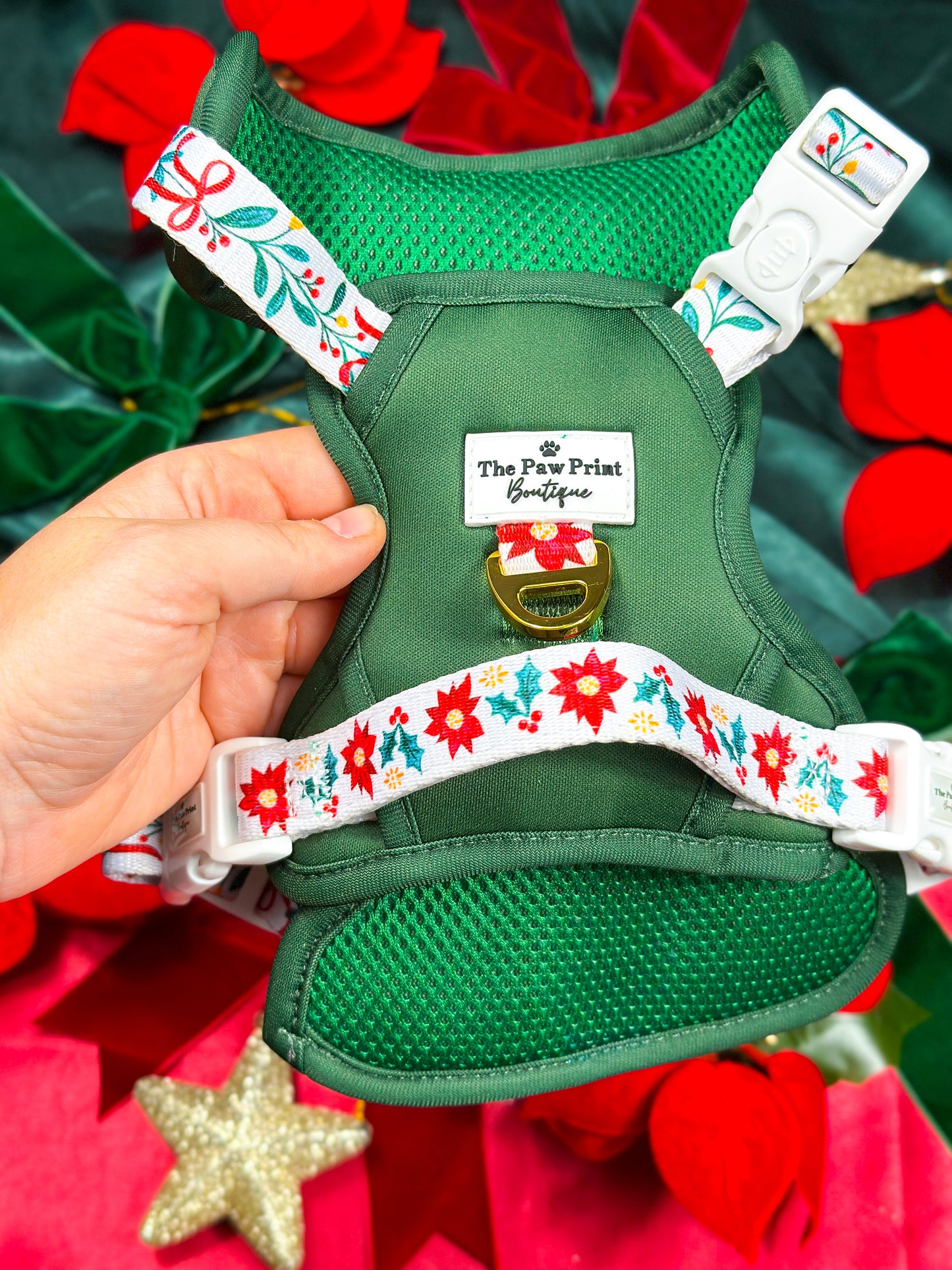Festive Traditions Adventure Paws Harness