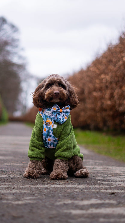 Daffodil Daze Adventure Paws Harness