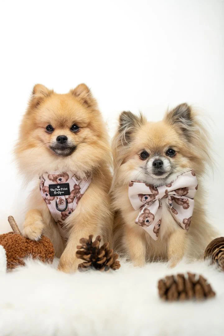 The Little Bear Cub Bow Tie