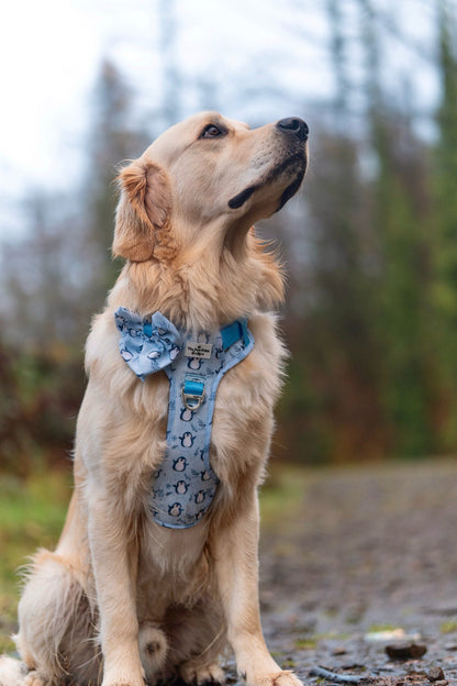 Percy Penguin Bow Tie
