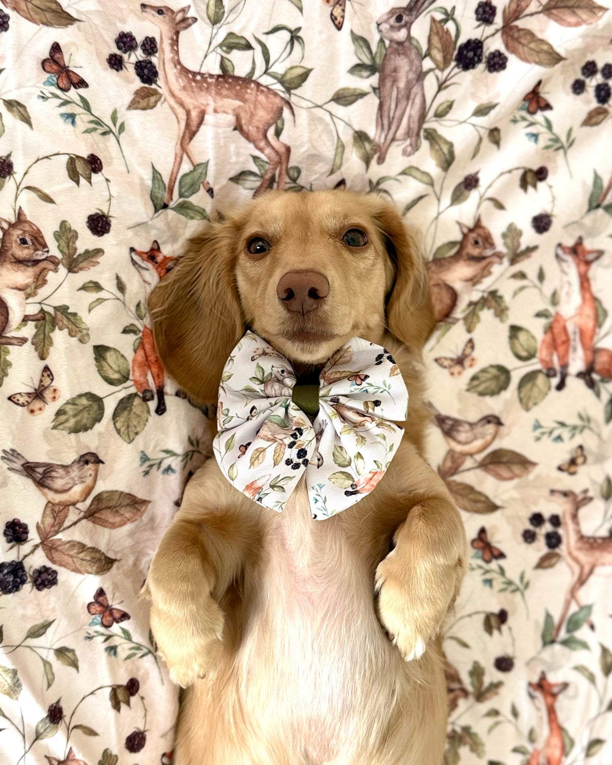 Whimsical Wildlife Bow Tie