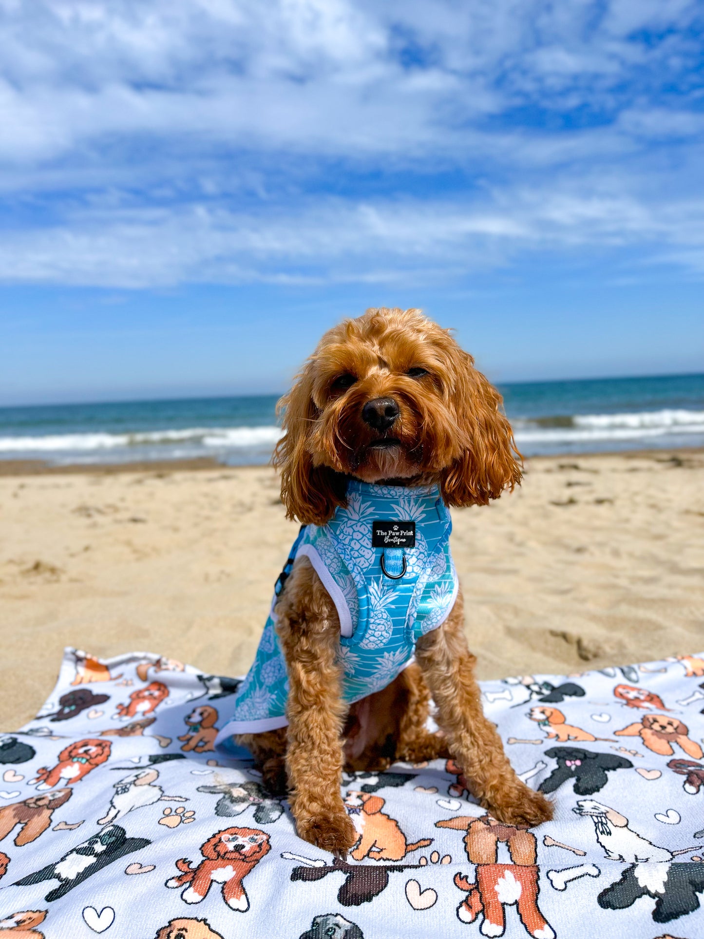 The Pineapple Pawty Adjustable Harness